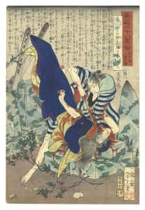 Yoshitoshi/Heroes for the Twenty-eight Lunar Lodges, with Poems / Furuteya Hachirobei[英名二十八衆句　古手屋八郎兵衛]