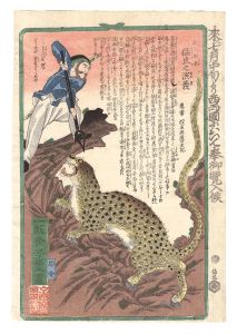 Yoshitoyo/Story of the Ferocious Tiger Imported by the Europeans[紅毛舶来猛虎之演義]
