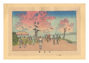 Yasuji,Tankei/True Pictures of Famous Places of Tokyo (Tokyo shinga meisho zukai) / Cherry Blossom at Mukojima【Reproduction】[東京真画名所図解　向島桜【復刻版】]
