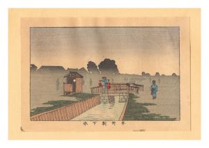Yasuji,Tankei/True Pictures of Famous Places of Tokyo (Tokyo shinga meisho zukai) / Honjo Warigesui Canal【Reproduction】[東京真画名所図解　本所割下水【復刻版】]
