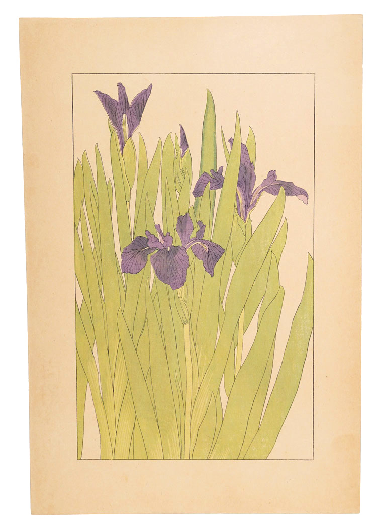 Sugiura Hisui “Water iris”／