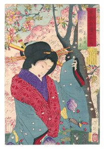 Yoshitoshi/Twelve Months with the Pride of Tokyo / The Third Month: Cherry Blossoms in the Yoshiwara[東京自慢十二ヶ月　三月 吉原の桜]
