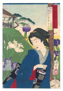 Yoshitoshi/Twelve Months with the Pride of Tokyo / The Fifth Month: Iris at Horikiri[東京自慢十二ヶ月　五月 堀切の菖蒲]