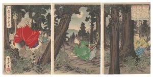 Toshikata/The Minamoto and the Taira: Snow, Moon and Flowers / Moon[源平雪月花之内　月]