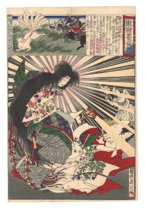 Chikanobu/Eastern Brocade Prints: Comparison of Day and Night / Tamomo no Mae[東絵昼夜競　玉藻前]