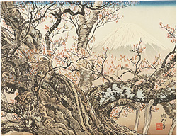 駒止の桜と富士 ／ 定方塊石