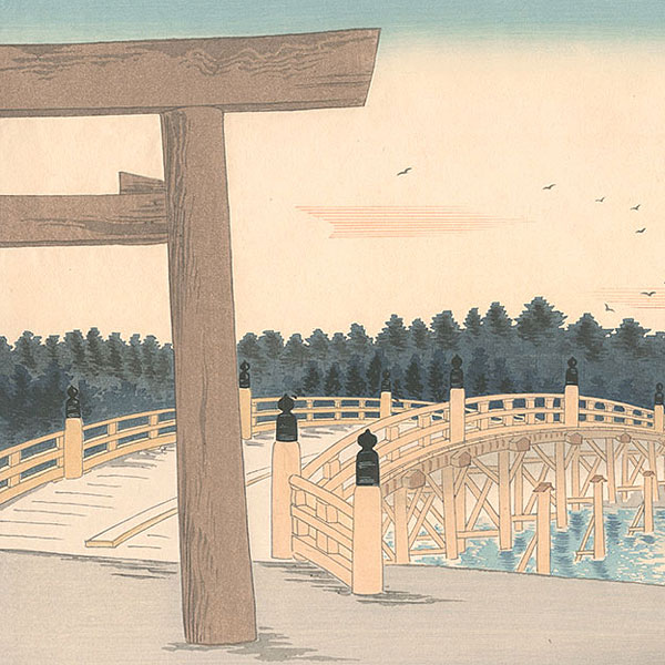 New Arrival: 2025/11/19