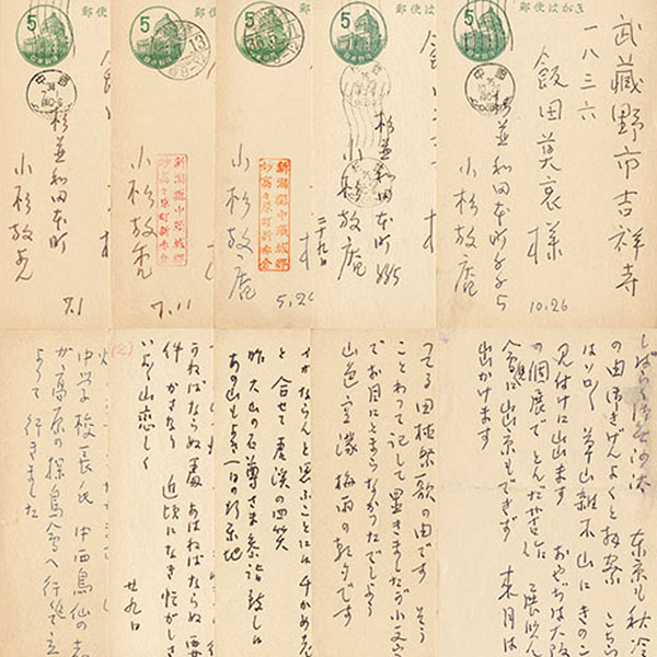 New Arrival: 2026/1/24