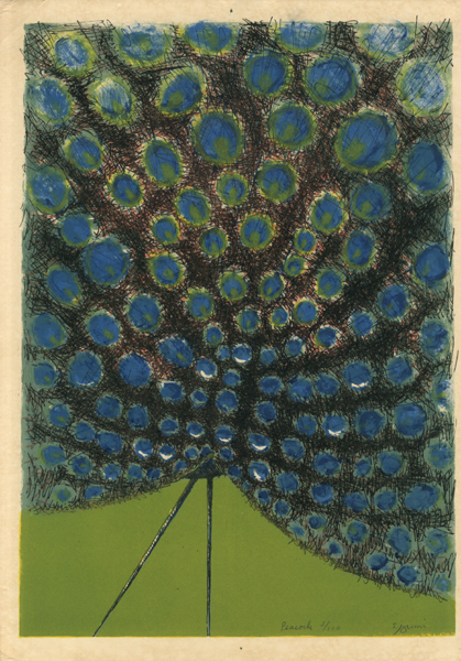 Izumi Shigeru “Peacock”／