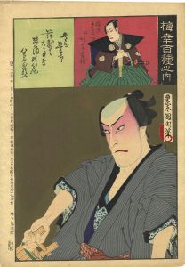 Kunichika/100 Roles of Baiko / Sakanaya Sogoro[梅幸百種之内　肴屋惣五郎]