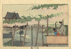 Kiyochika/Pictures of Famous Places in Tokyo / Wisteria at Kameido[東京名所図　亀井戸藤]