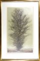 <strong>Hoshi Joichi</strong><br>High tree （Brown）