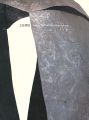 <strong>Takeshi TSUCHITANI ：A Retrospe......</strong><br>