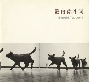 ｢籔内佐斗司展｣