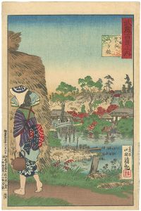 Kiyochika/100 Views of Musashi : Tsugi Bridge of Mama in Shimousa (Chiba prefecture)[武蔵百景之内　下総真間つぎ橋]