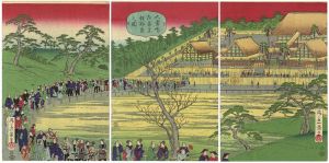 Ikkei/People Visit to Emperor for Daijosai Festival[大嘗会御宮参拝群集之図]