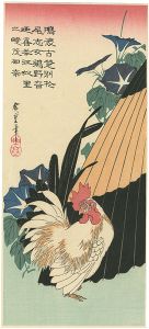 Hiroshige/Morning Glories and Japanese Bantam【Reproduction】[朝顔に鶏【復刻版】]