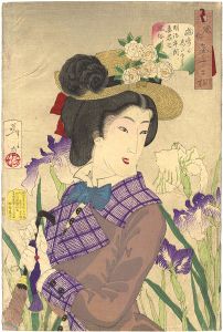 Yoshitoshi/32 Aspects of Women / Looking as If She is Enjoying a Stroll : The Appearance of a Lady of the Meiji Era[風俗三十二相　遊歩がしたそう　明治年間　妻君之風俗]