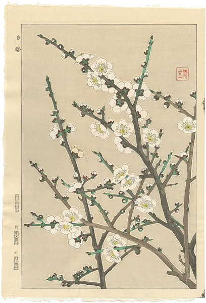 Kawarazaki Shodo “White Plum Blossoms”／