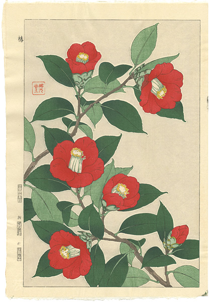 Kawarazaki Shodo “Camellia”／
