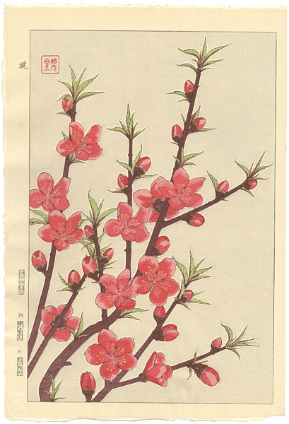 Kawarazaki Shodo “Peach Blossom”／