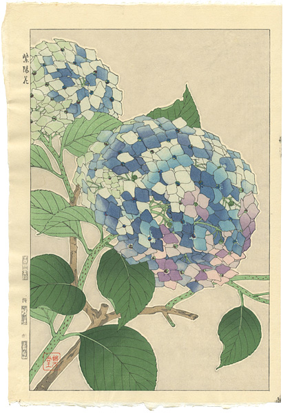 Kawarazaki Shodo “Hydrangea”／