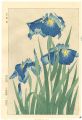 <strong>Kawarazaki Shodo</strong><br>Iris
