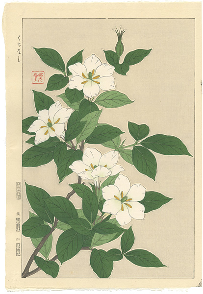 Kawarazaki Shodo “Cape Jasmine”／