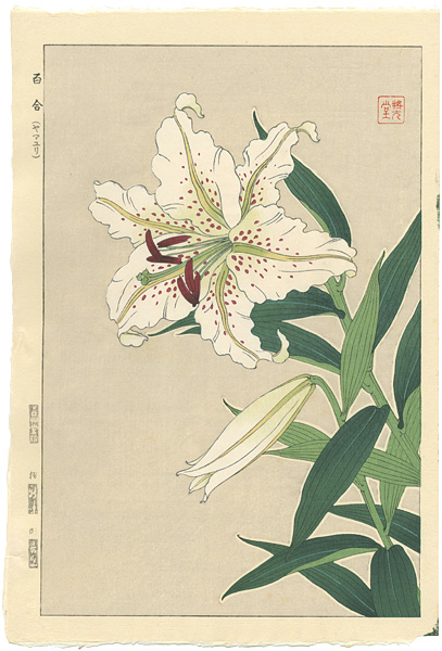 河原崎奨堂｢百合（ヤマユリ）｣／