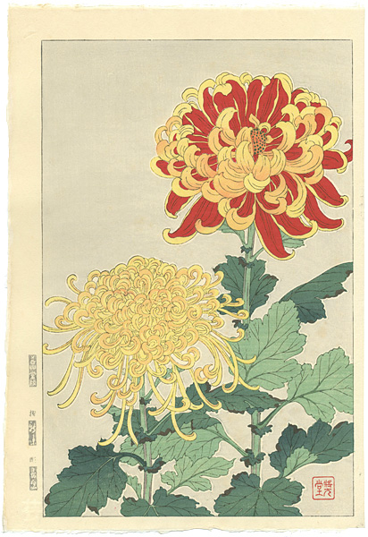 Kawarazaki Shodo “Chrysanthemum”／