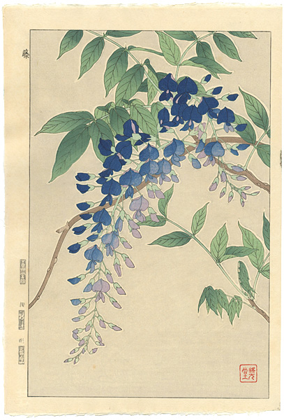 Kawarazaki Shodo “Wisteria”／