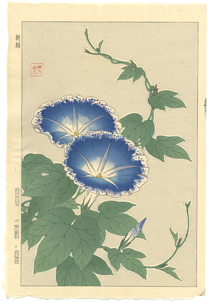 Kawarazaki Shodo “Morning glory”／