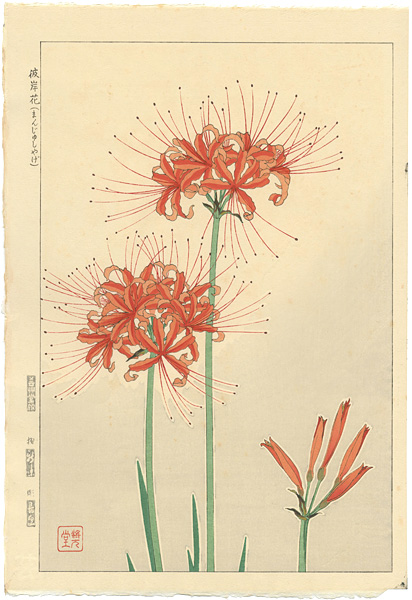 Kawarazaki Shodo “Red Spider Lily”／