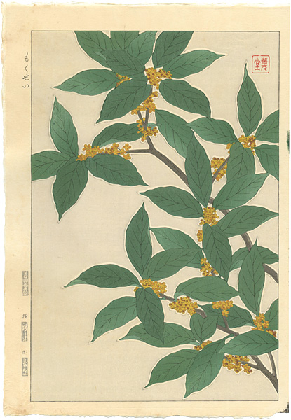 Kawarazaki Shodo “Sweet Osmanthus”／