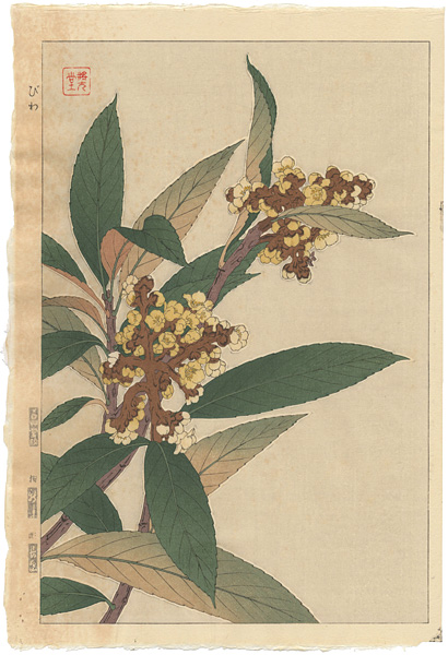 Kawarazaki Shodo “Loquat”／