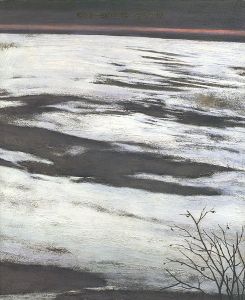 ｢相原求一朗の世界展 自然の詩情｣
