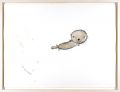 <strong>MAYA MAXX</strong><br>Sea Otter #2