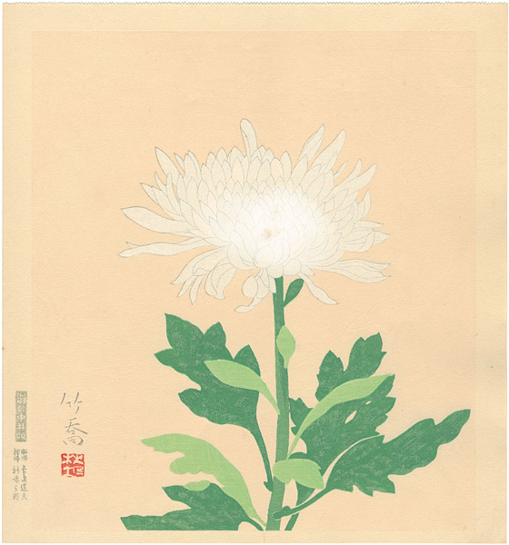 小野竹喬｢白菊 （仮題）｣／