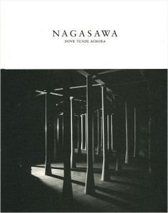 ｢長澤英俊 オーロラの向かう所｣