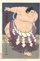 <strong>Kinoshita Daimon</strong><br>THE ‘SUMO’ UKIYO-E TAIHO