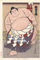 <strong>Kinoshita Daimon</strong><br>THE ‘SUMO’ UKIYO-E TERUKUNI.........