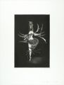 <strong>Hirota Masahisa</strong><br>夜に舞う