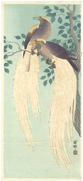 Ohara Koson(Shoson) “Birds of Paradise”／