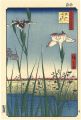 <strong>Hiroshige</strong><br>100 Famous Views of Edo / Iris......