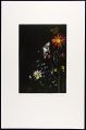 <strong>Oda Shigeru</strong><br>花の頃