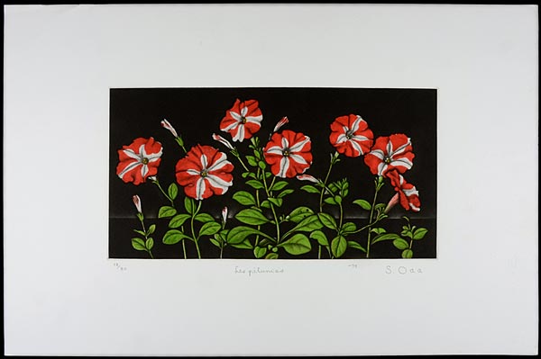 Oda Shigeru “Petunia No.6”／