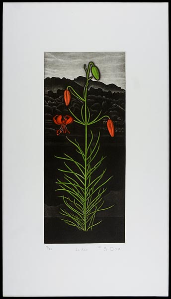 Oda Shigeru “Lily No.6”／