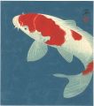 <strong>Matsuura Mitsuru</strong><br>Coloured Carp