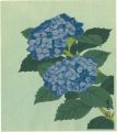<strong>Mochizuki Sadao</strong><br>Hydrangea
