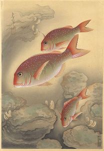 大野麥風｢大日本魚類画集　鯛｣